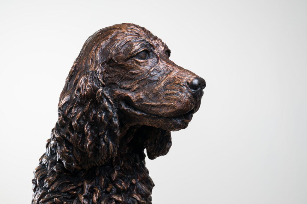 Details of the  head of life sized statue of the dog, a spaniel  by the Sculptress JOEL