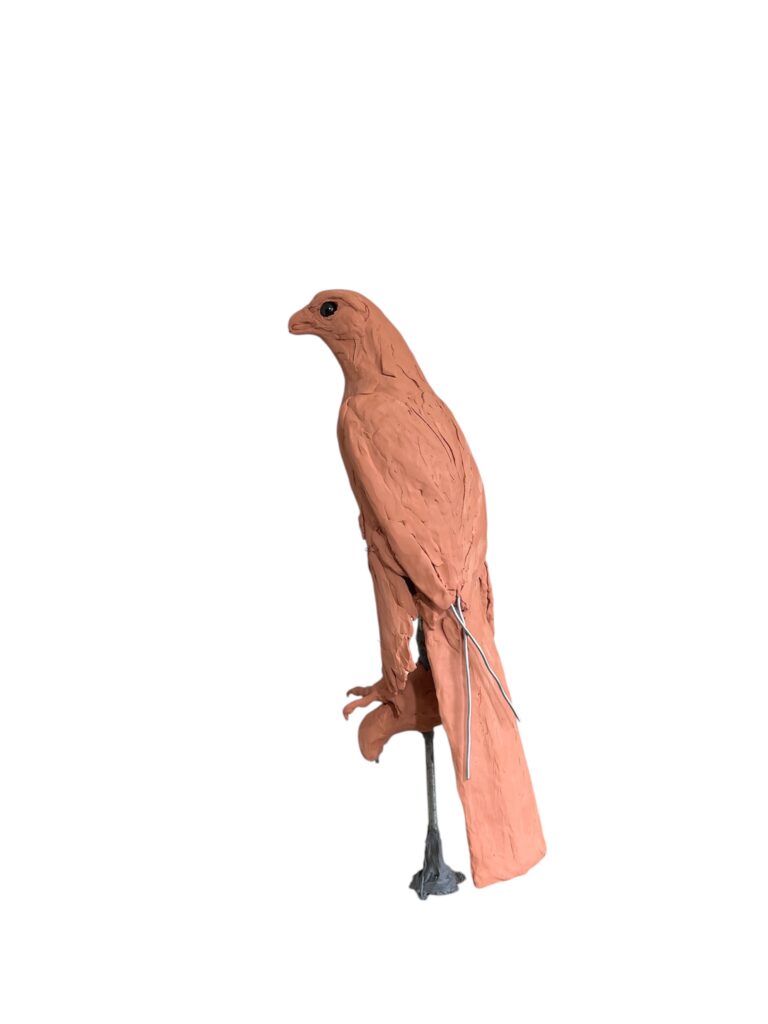 Sculpture armature clay later work with wings and Tail Gyr Sculpture by JOEL
