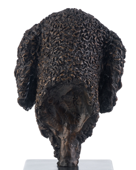 Rear view of Poodle bust bronze by Sculptress JOEL