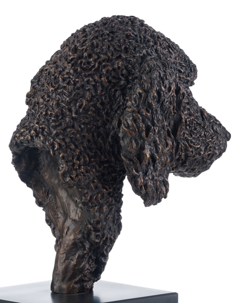 Rear view of Poodle bust bronze by Sculptress JOEL showing details of the coat and ear