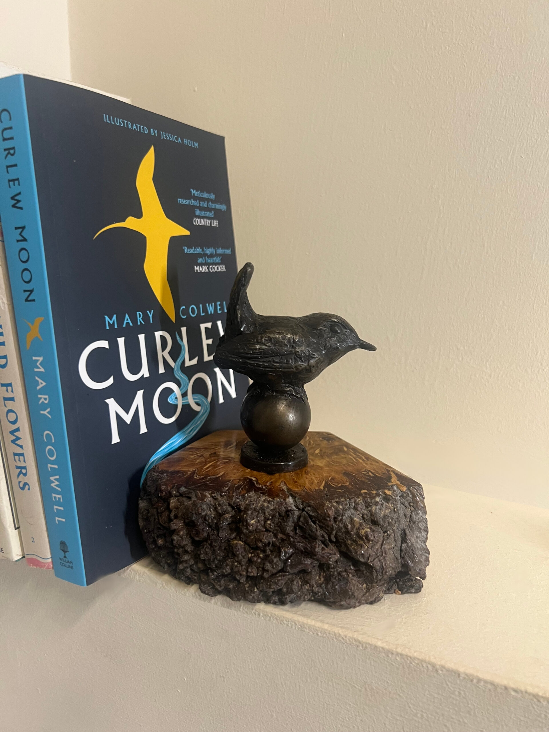 Bird Sculpture Wren Bronze by Sculptress JOEL set on a piece of Pippy Oak as a book-end