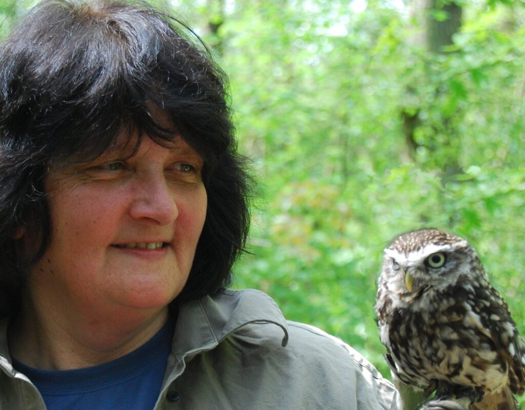 Sculptress JOEL Studies a Little Owl